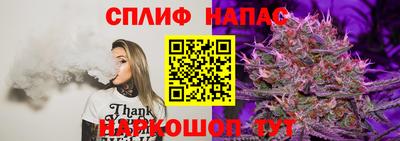 jwh Можга